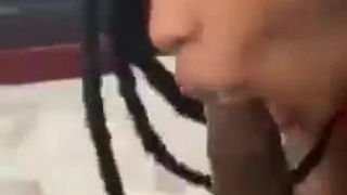 Ebony Couple Ebony Deepthroat Blowjob Big Dick Bed Sex BBC GIF